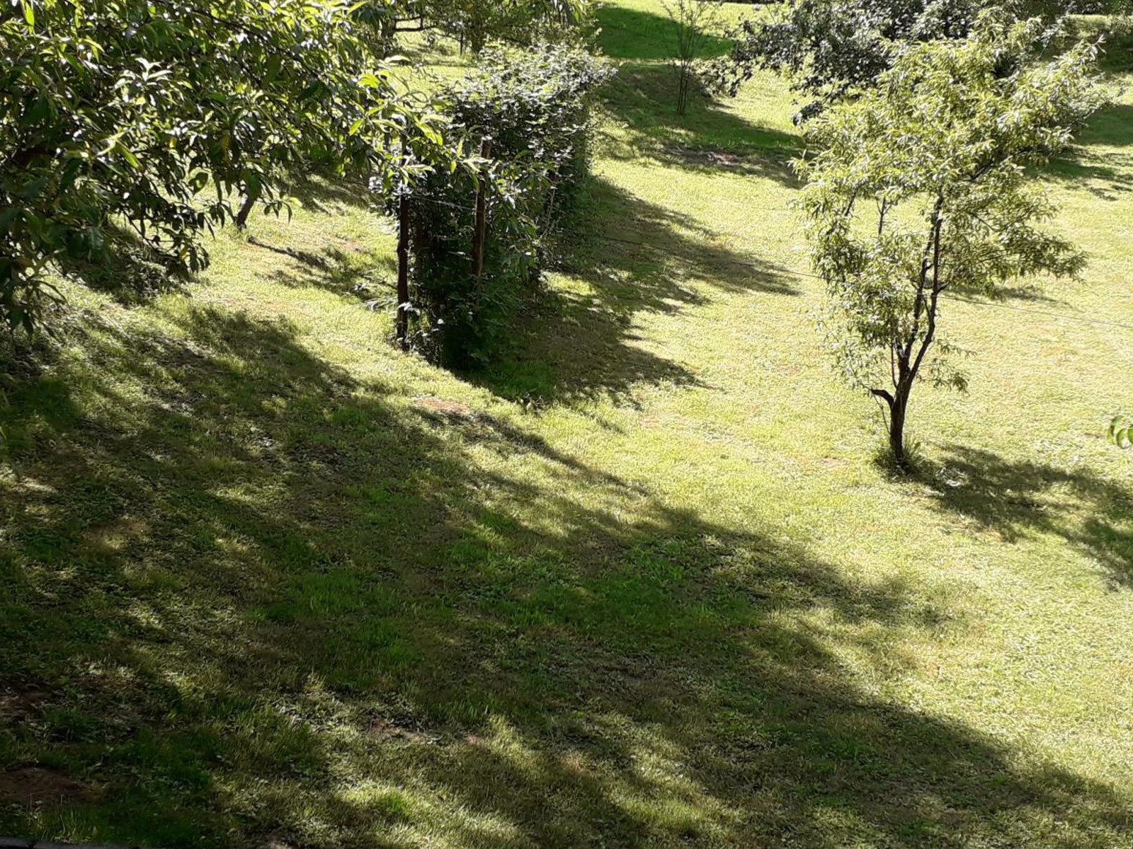 Priroda3